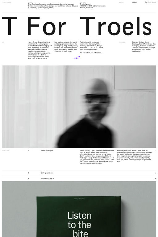 T for Troels website screenshot