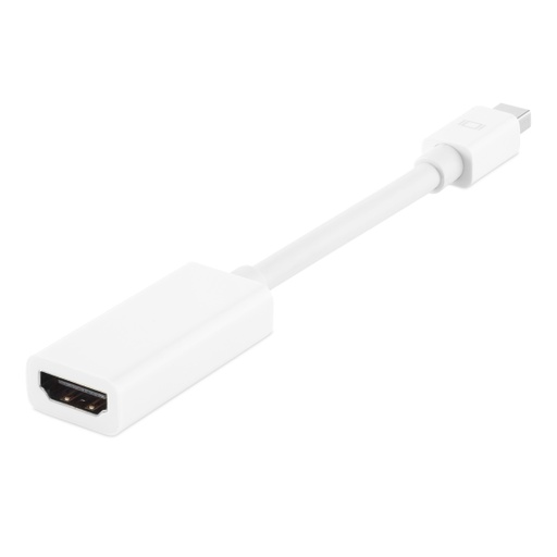 HDMI To Mini-Display Port Adapter
