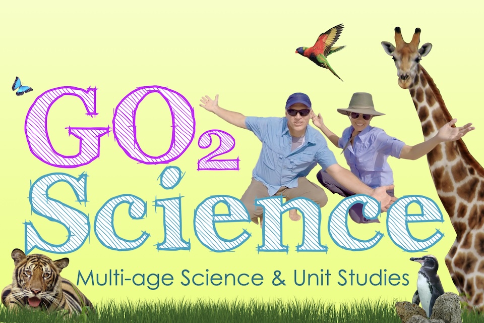 Go2Science Logo