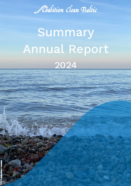CCB Summary Annual Report 2024