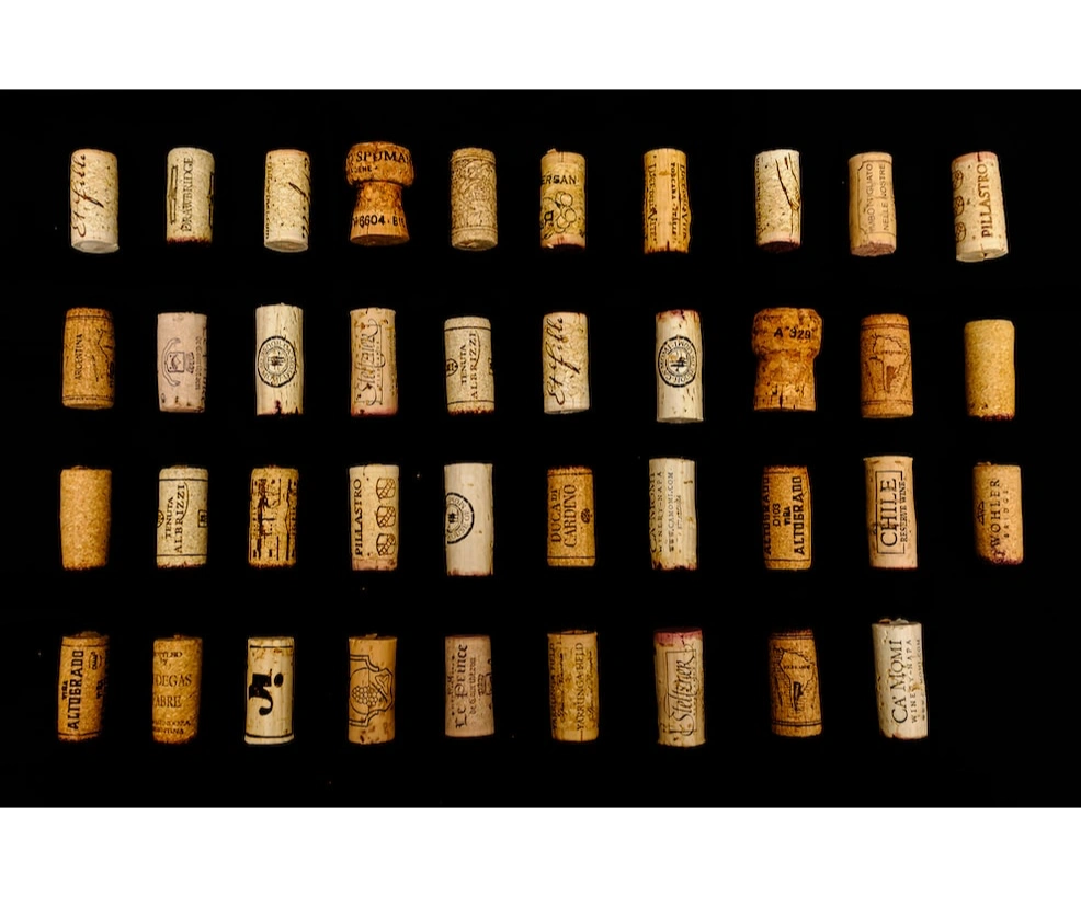 Violeta Wine & Charcuterie- Todos Santos logo