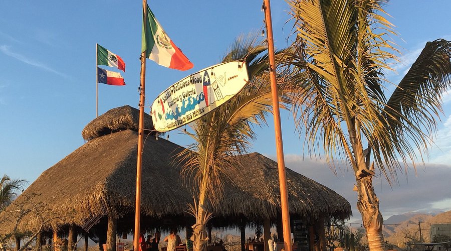 Shaka's Delicious Wood Cantina y Galeria