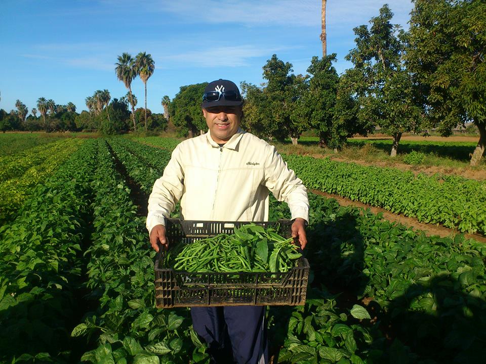 La Casita - Todos Santos logo