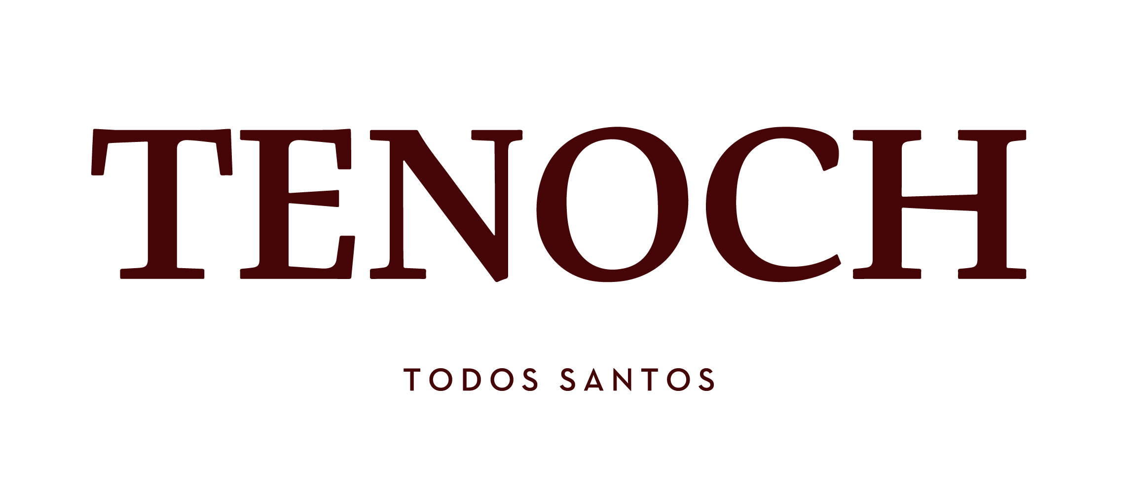 Tenoch at Paradero Todos Santos - El Pescadero logo