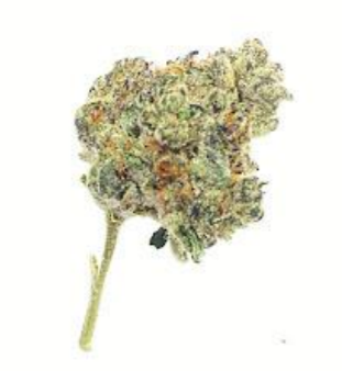 Platinum Lemon Gusher