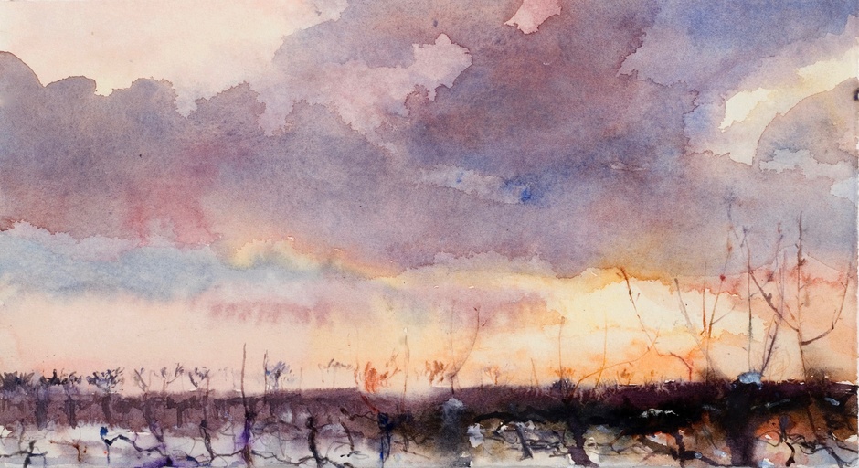 Huddled apple trees, Winter's evening, Kent.