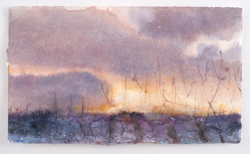 Last Glimpse of the sun, apple orchard, Kent