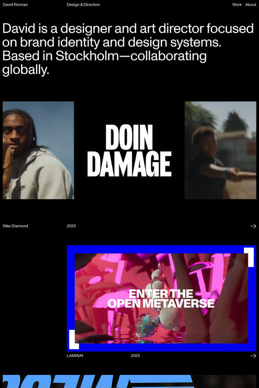 David Rinman website screenshot