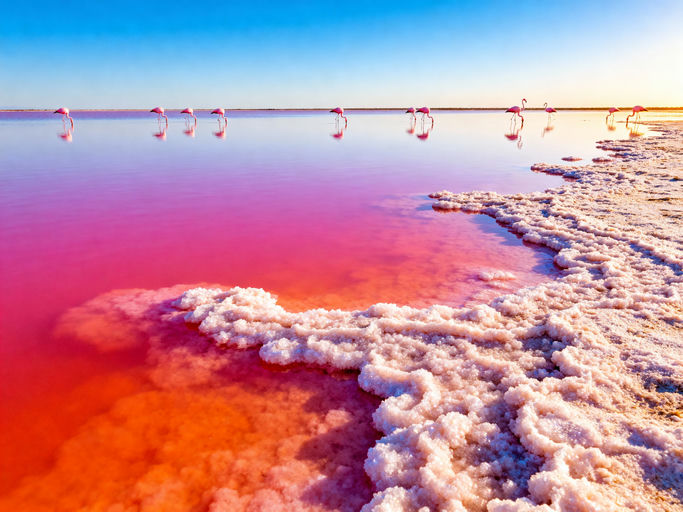 Surreal Pink Salt Lake