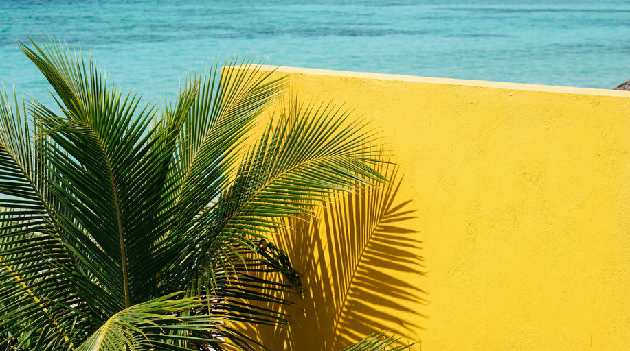Yellow Resort Wall Shadows