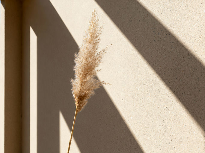 Minimalist Beige Wall Pampas Grass