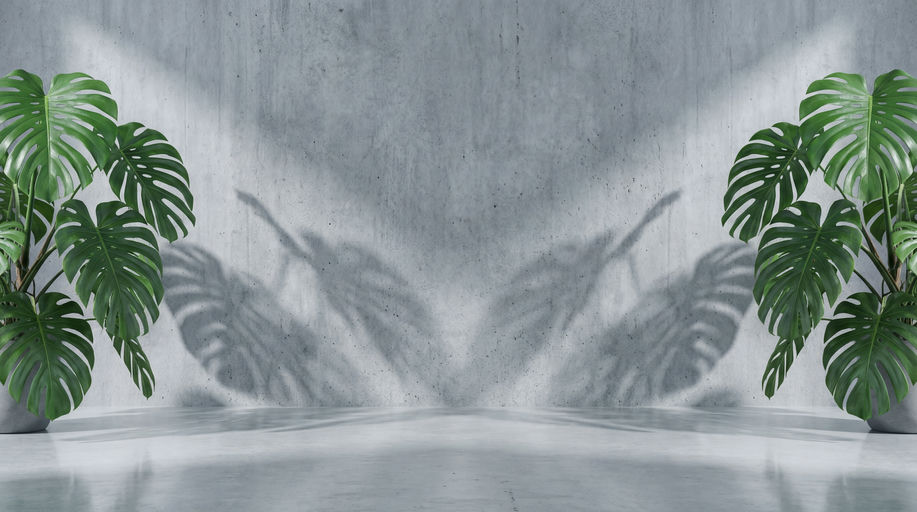 Minimalist Studio Concrete and Monstera