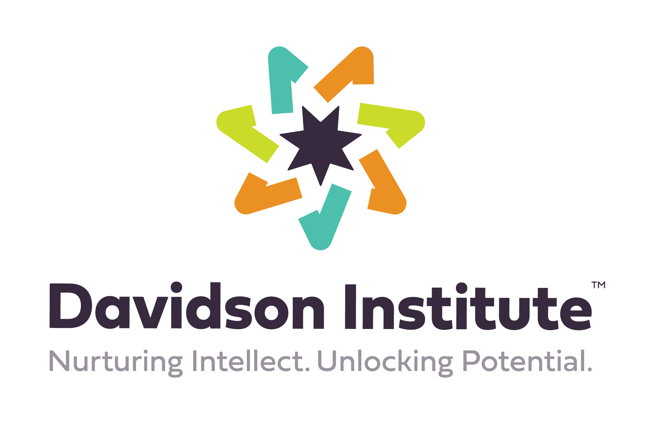 Davidson Institute Logo