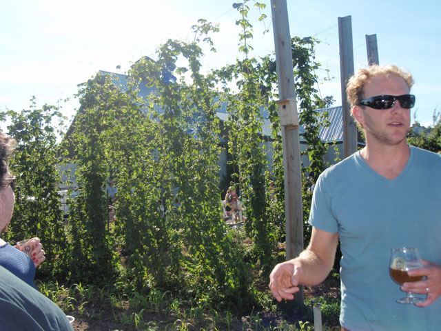 Cisco Brewers gallery image 1