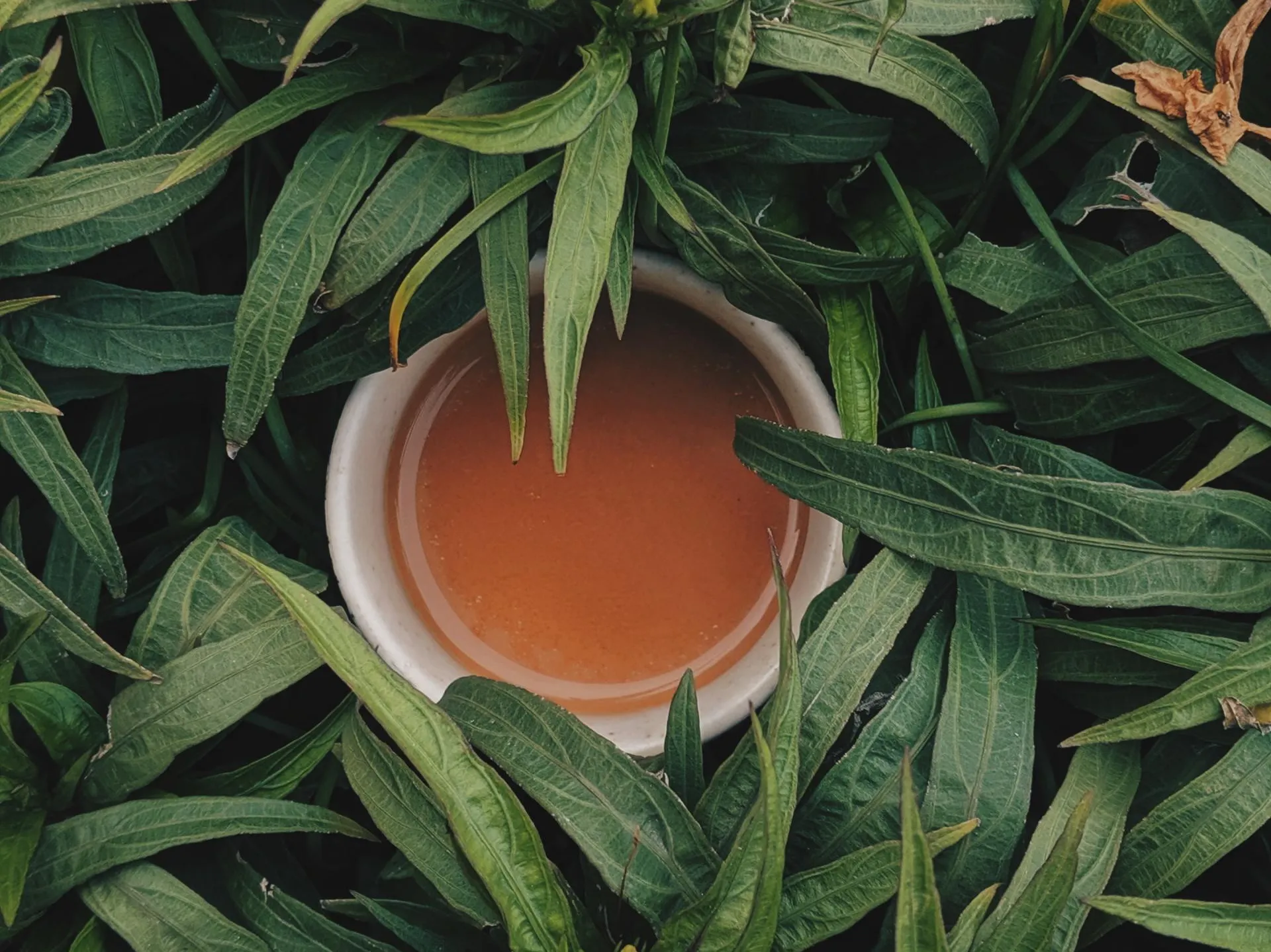 The Ultimate Guide to UK Plastic Free Tea Bags