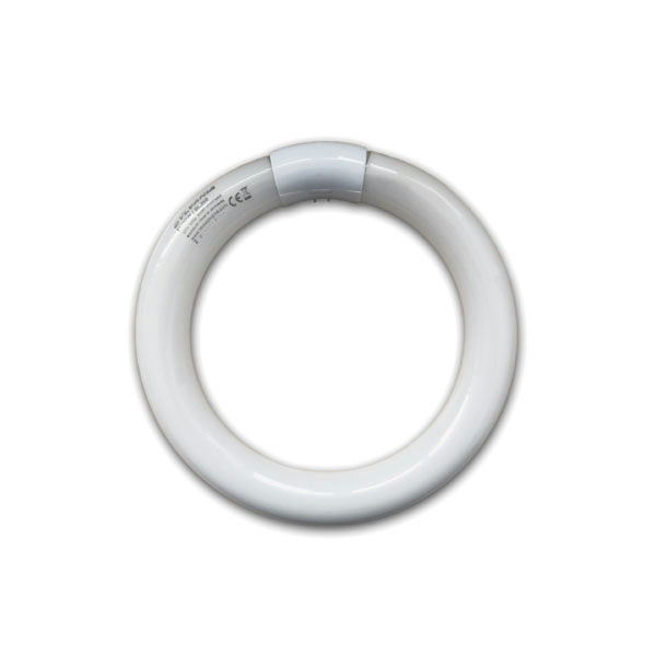 Insectivoro Sterminatori di insetti