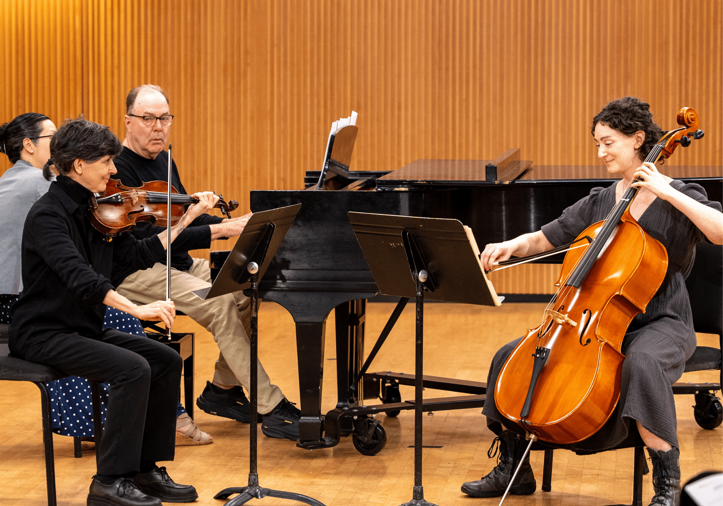 Adult Chamber Music