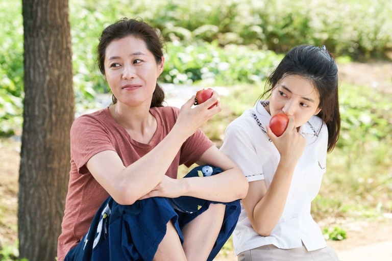 Courtesy of M-Line Distribution