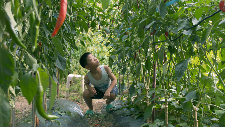 © 2019 ONU FILM, ALL RIGHTS RESERVED