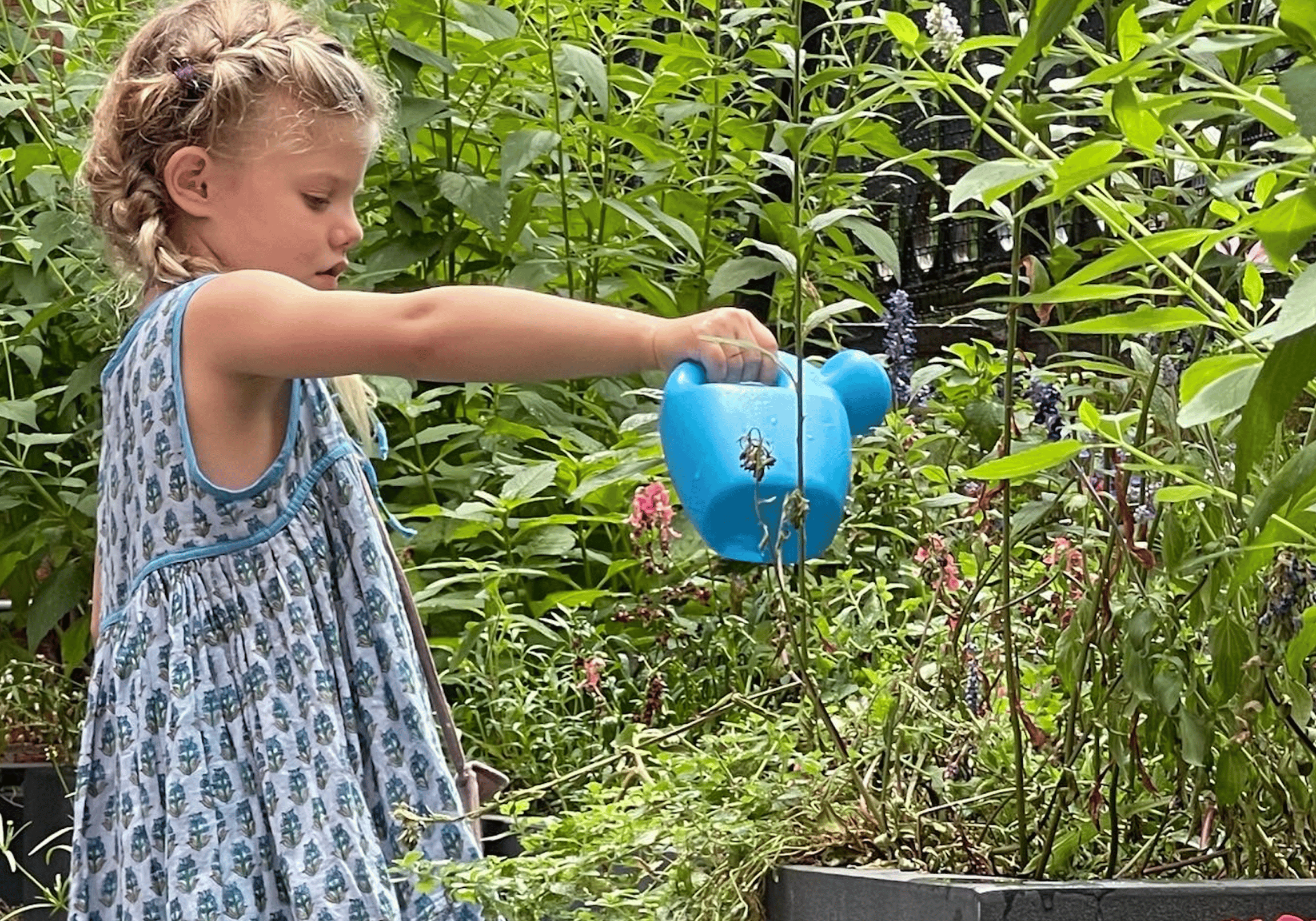 Summer Preschool Fun - Ages 4 to 5