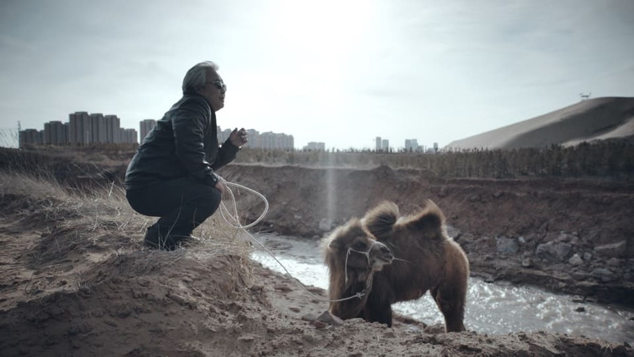 © 2017 Dongchun Films Co., Ltd.