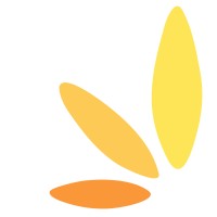 Trustee / Board Member