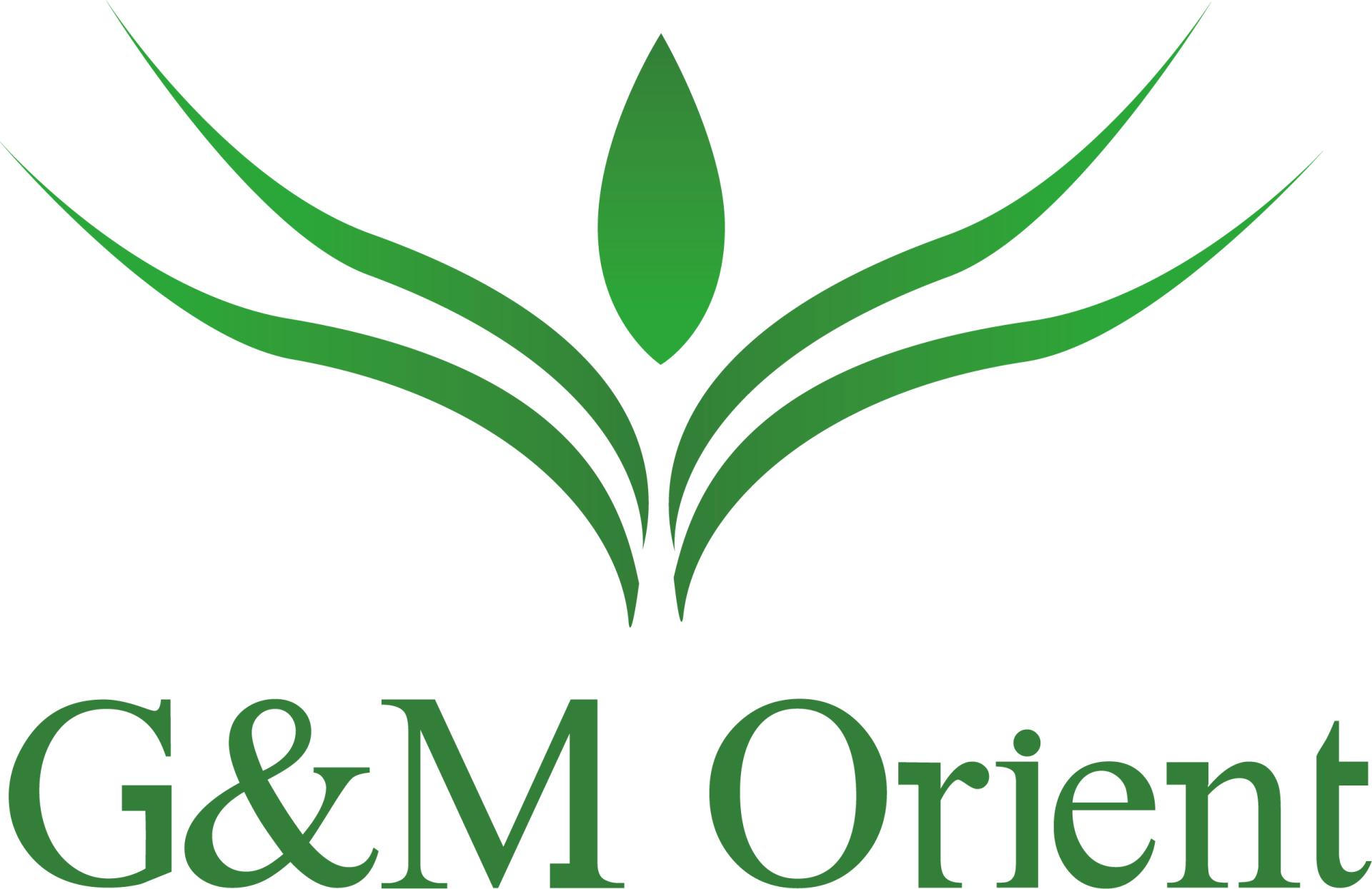 G&M ORIENT
