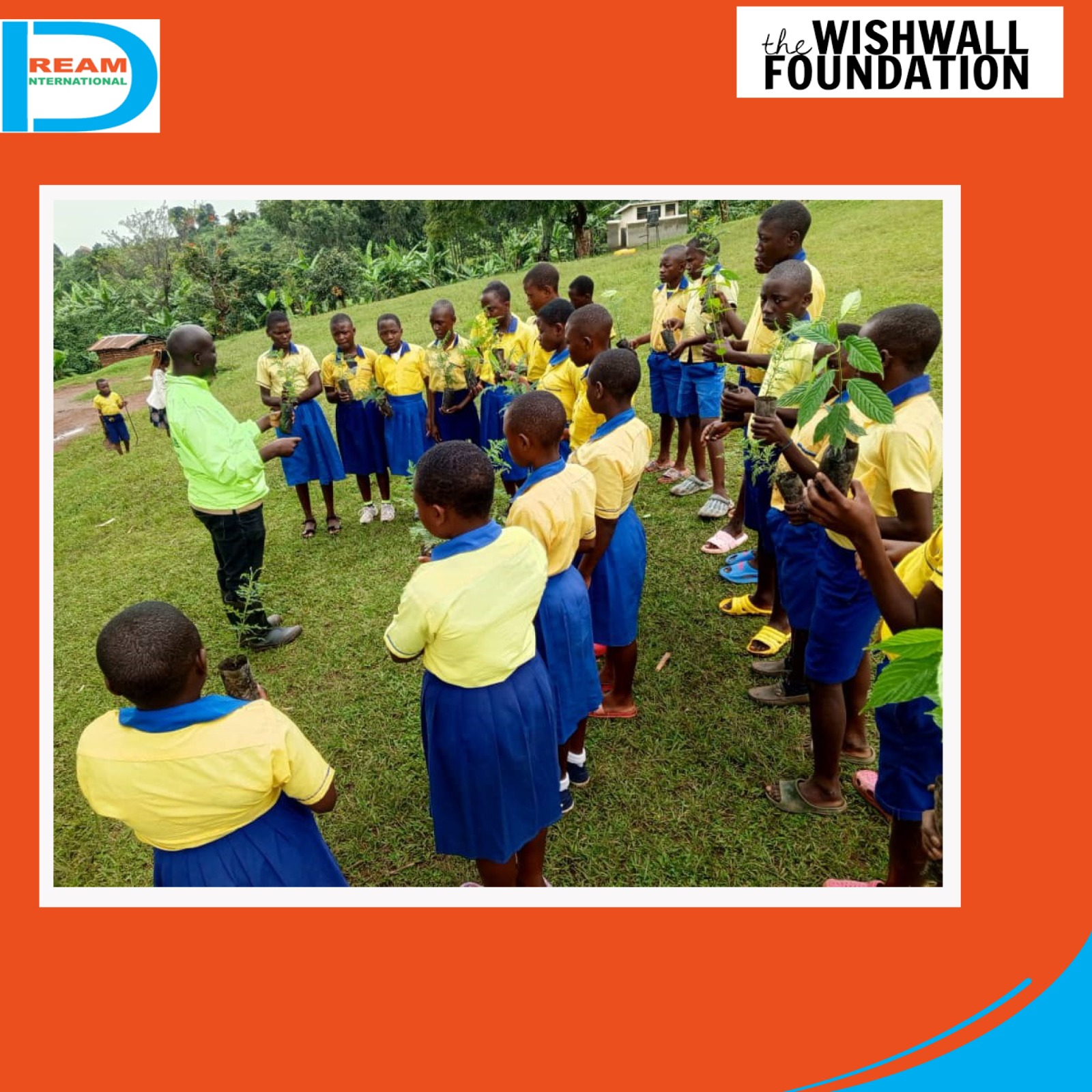 planting for biodiversity of landscapes in Rwenzori mountains