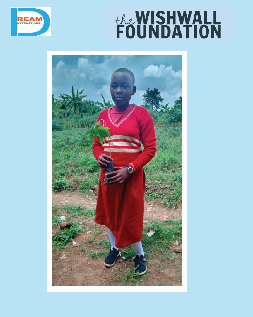 planting for biodiversity of landscapes in Rwenzori mountains