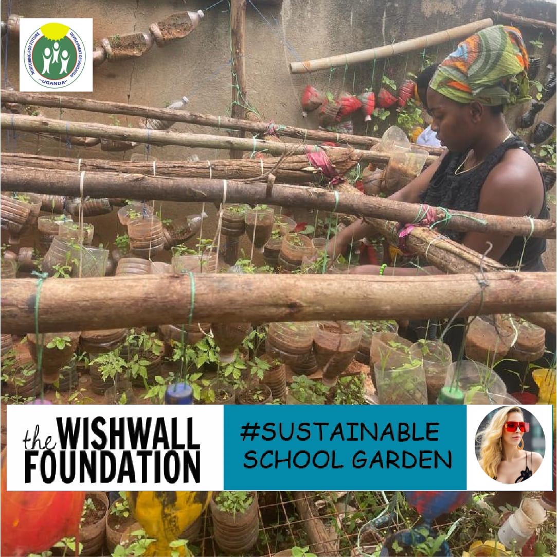 Sustainable school garden