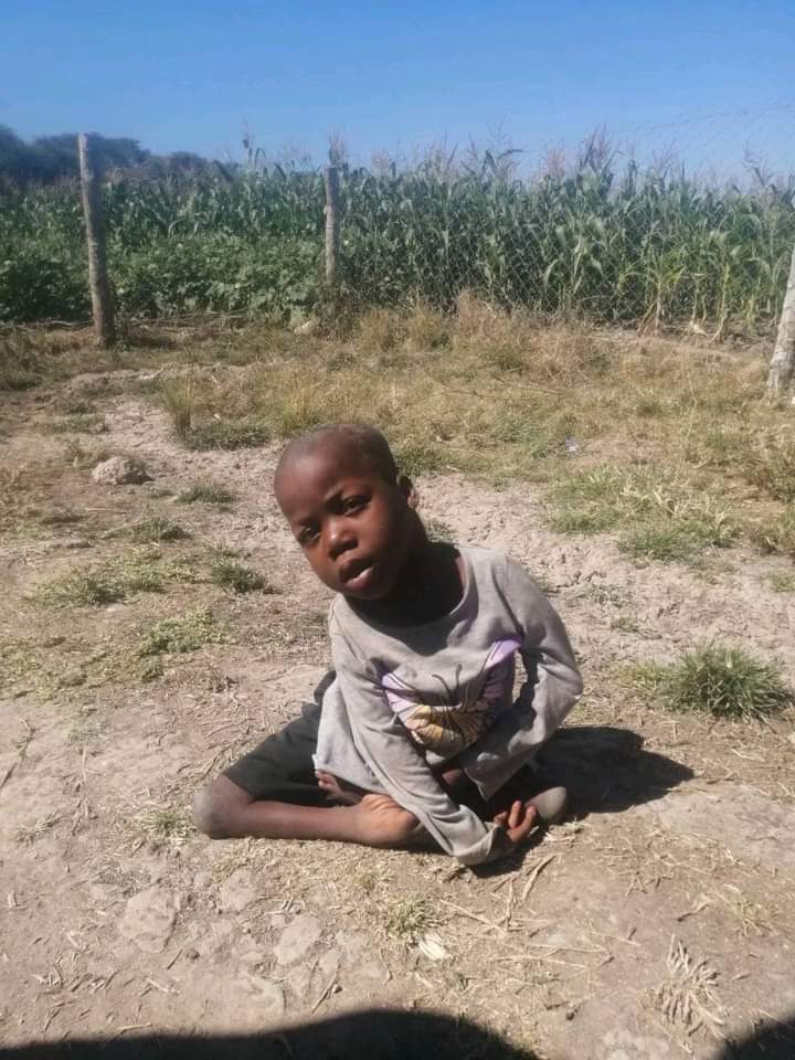 Mobility Empower: Inclusive Assistive Innovations