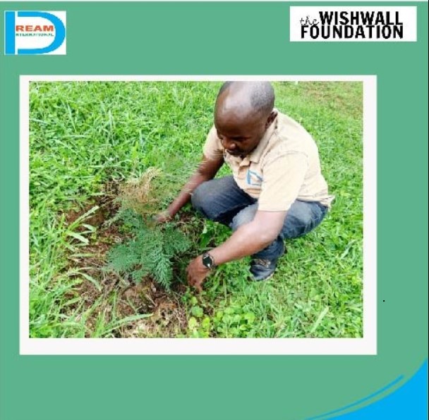 planting for biodiversity of landscapes in Rwenzori mountains