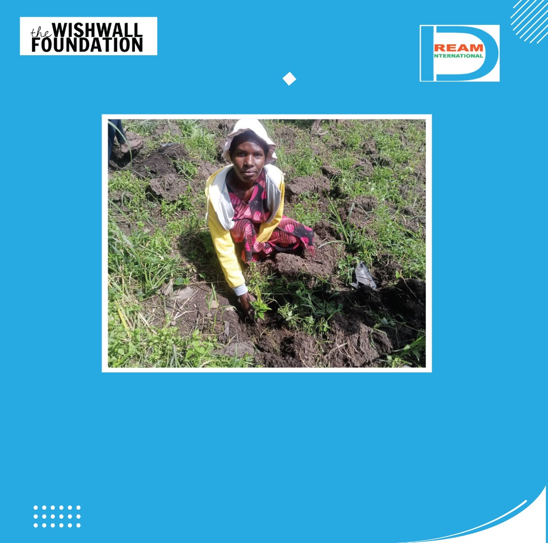 planting for biodiversity of landscapes in Rwenzori mountains