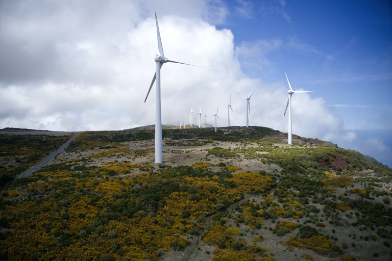 Omdena feature image