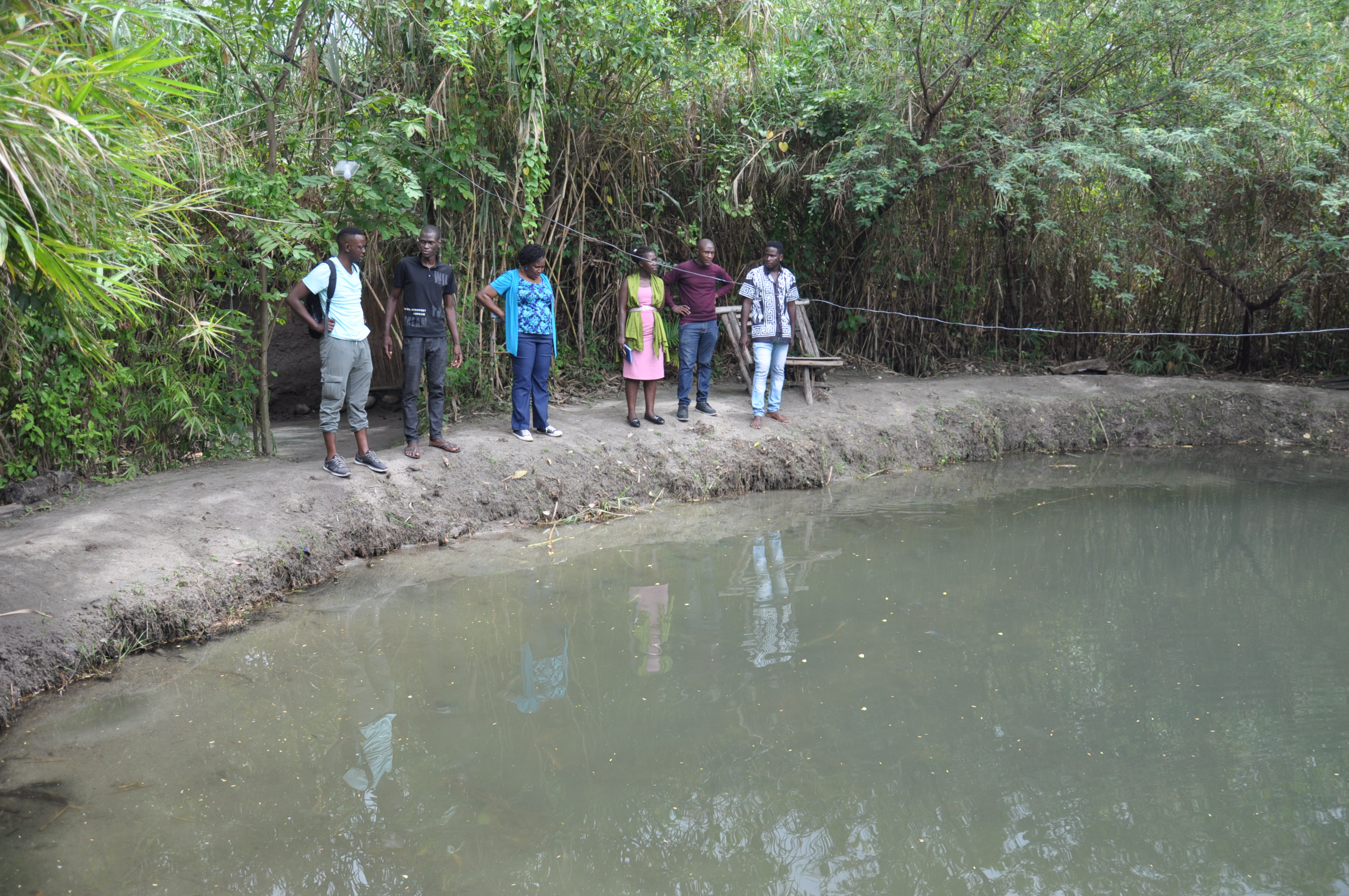 Promoting sustainable fish farming for improved nutrition in Kasese district, Uganda