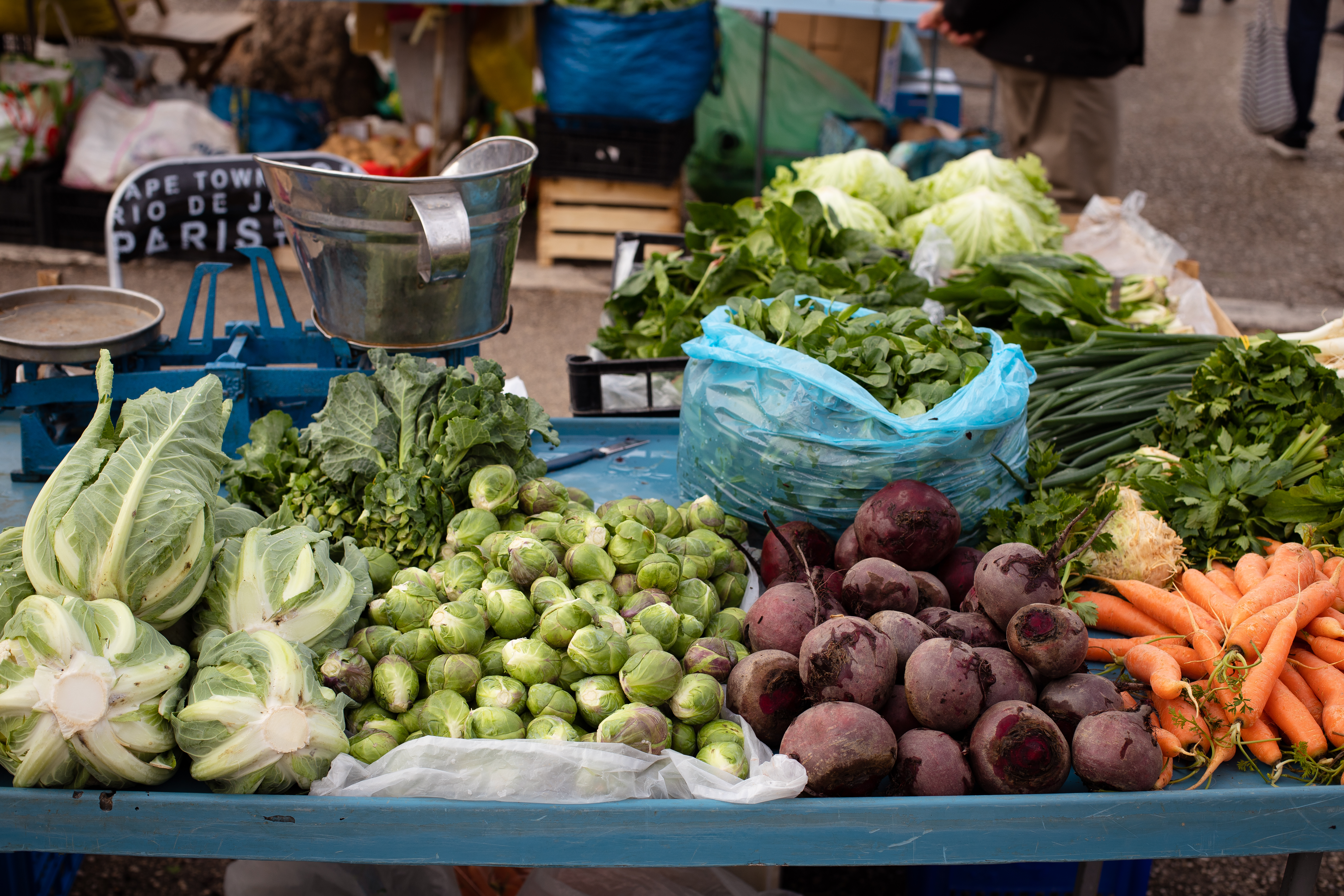 Veganer Kochkurs in der Altstadt von Split mit Marktbesuch am Vormittag