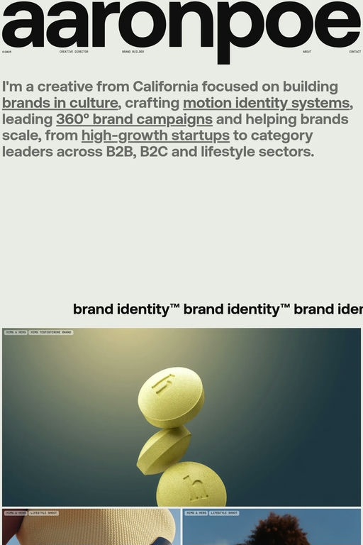 Aaron Poe website screenshot