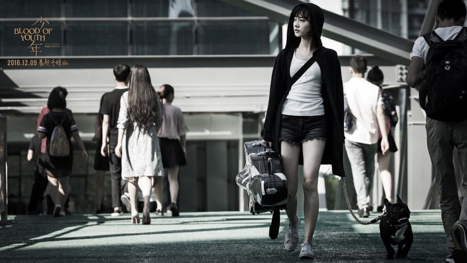 © 2016 Enlight Media Co Ltd; Courtesy of IM Global