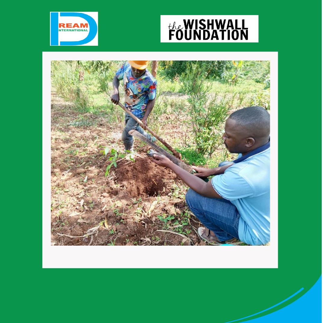 planting for biodiversity of landscapes in Rwenzori mountains