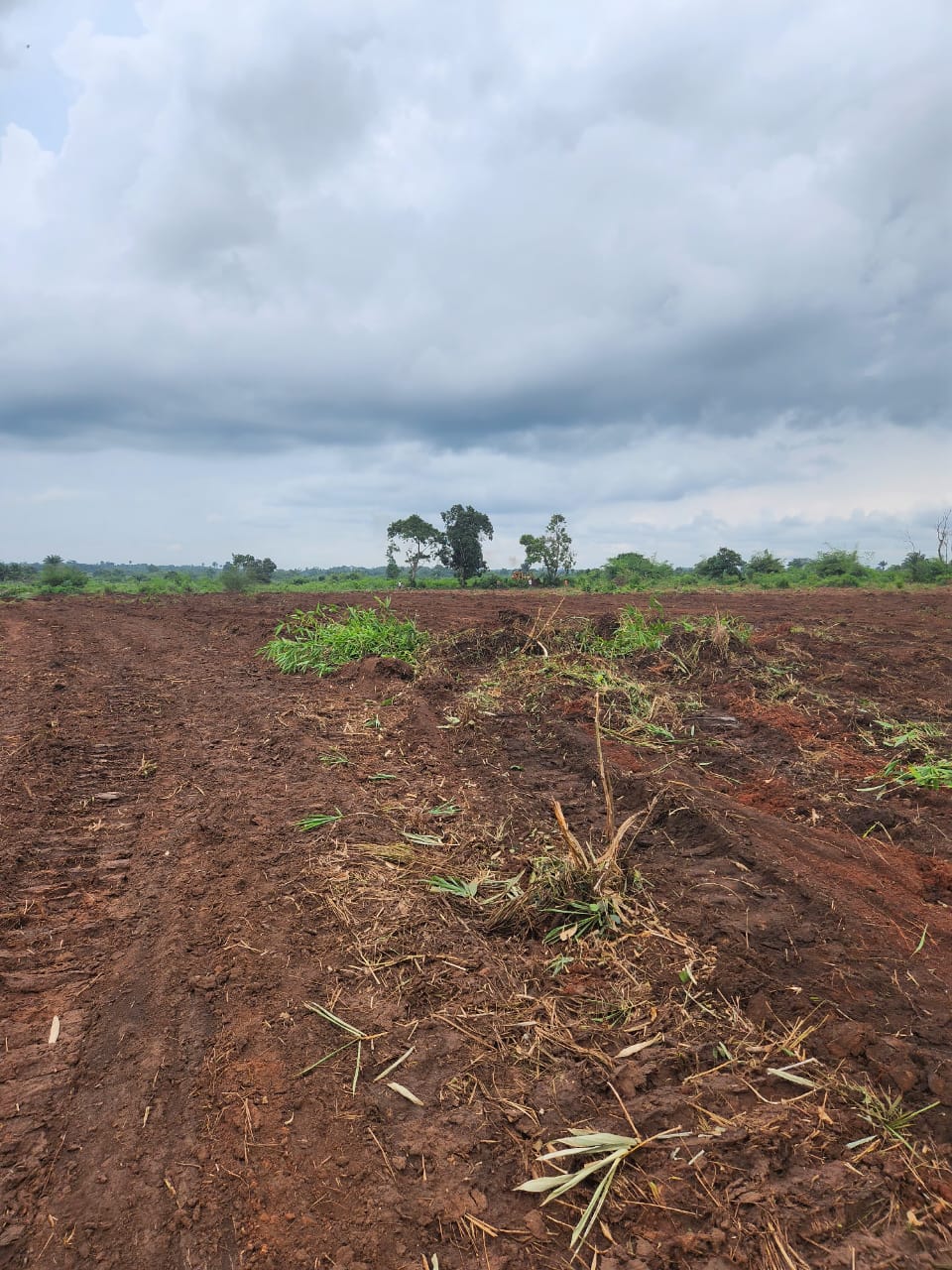 Integrated Farm owner