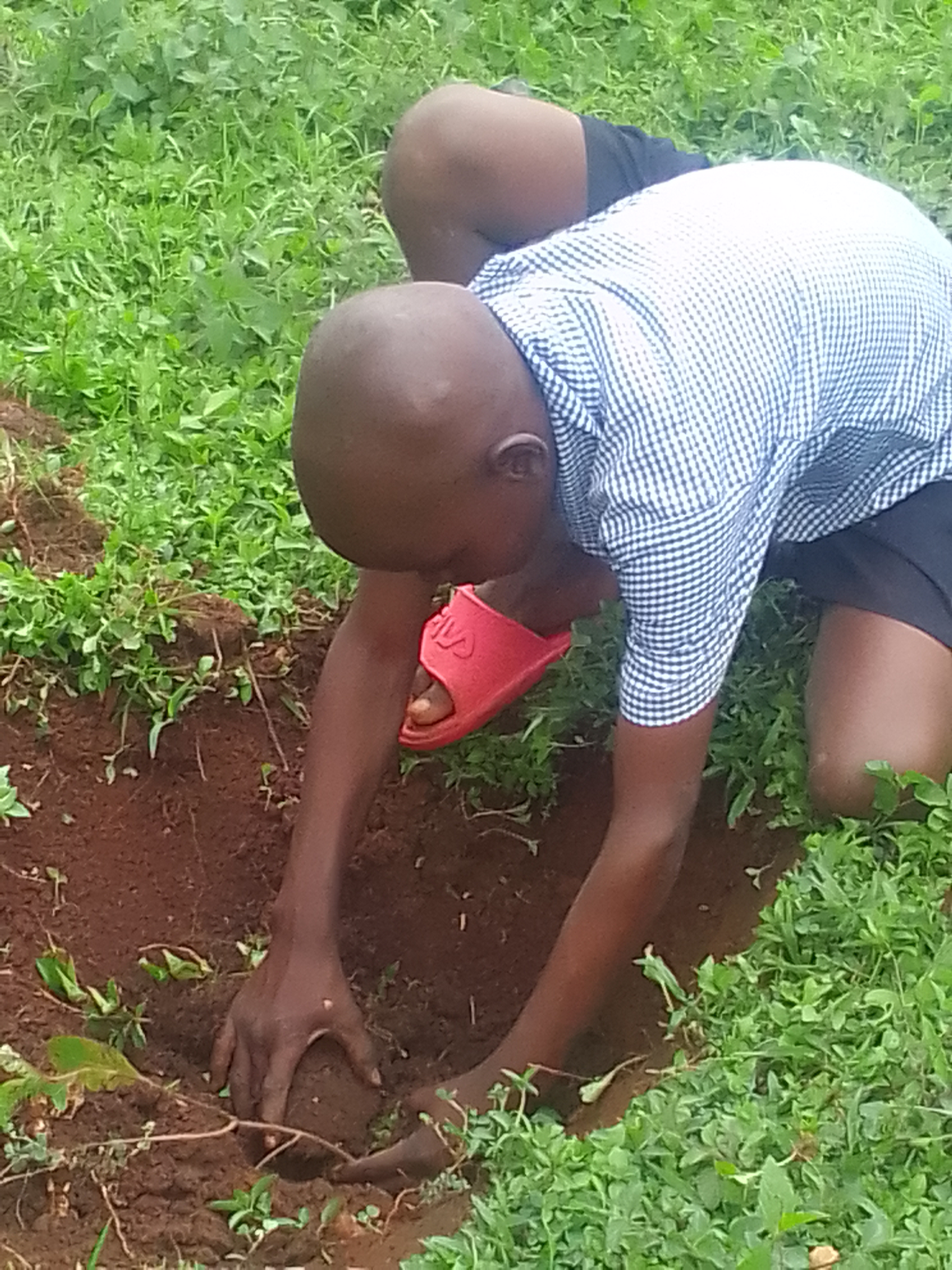 The Green Eyes Project Uganda