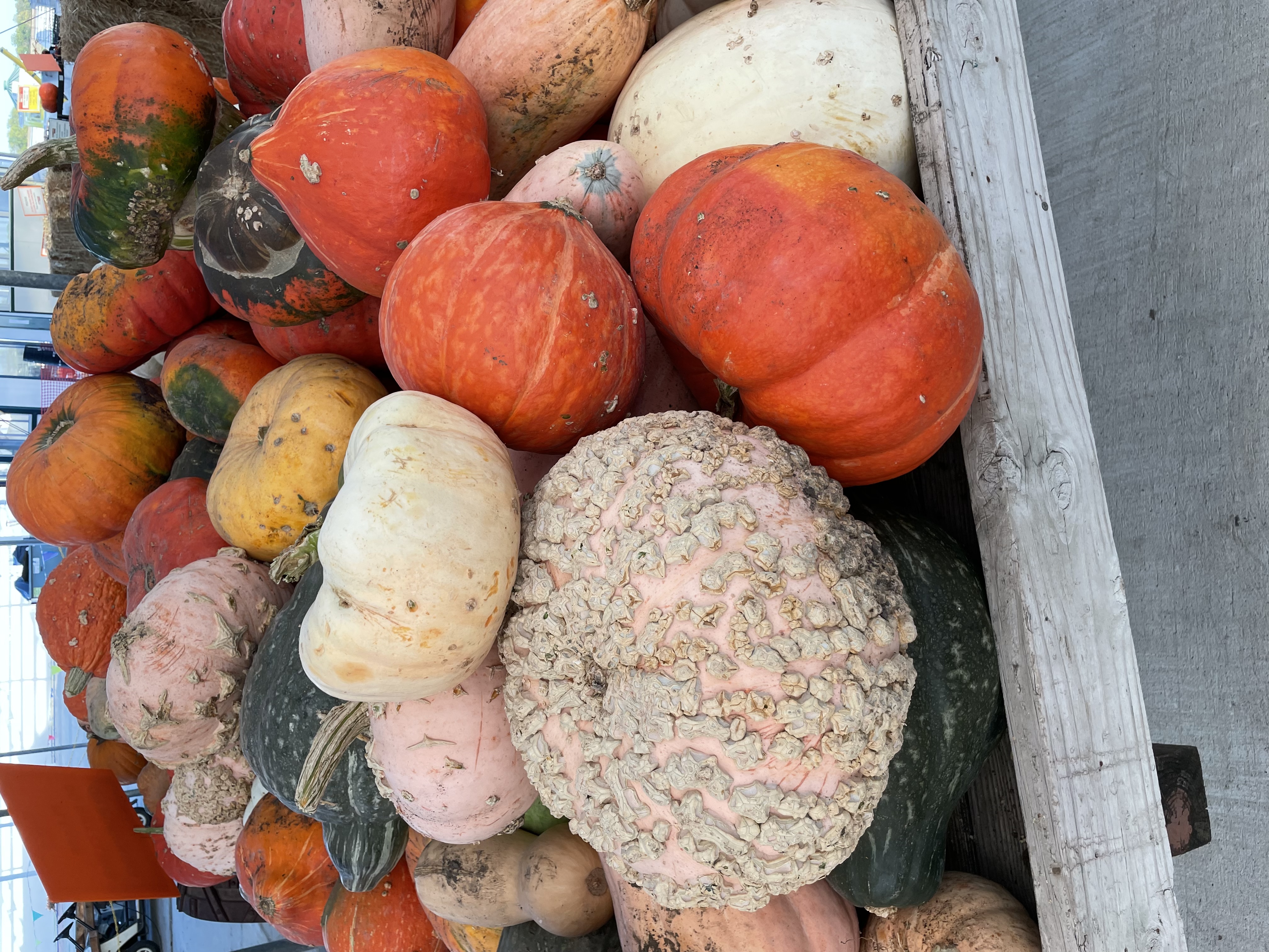 Youth Housing Initiative