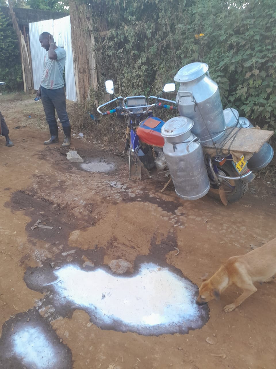 Closer Collection, Better Income: A Milk Aggregation Solution