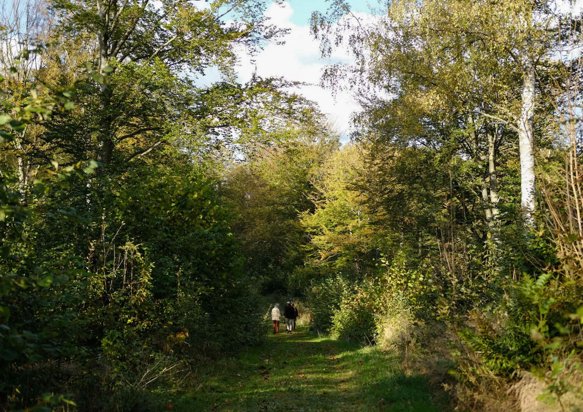 Archival Studies Almenr Site