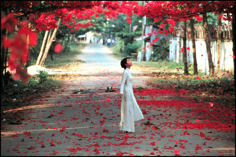 Courtesy of Focus Features