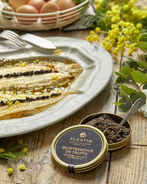 Filets de sole à la Quintessence de Truffe noire