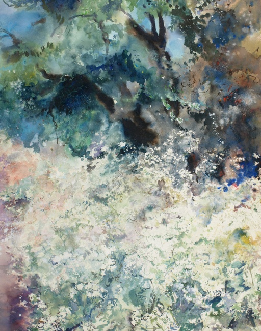 A Sea of Cow Parsley, Kent