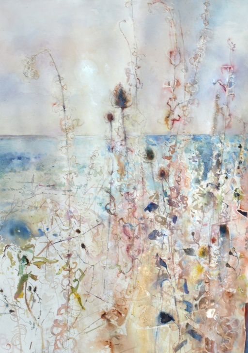 Bull Rushes near Hope Cove, South Devon