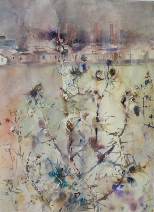 An Urban Thistles in Evening Light, Ladywell Park, London.