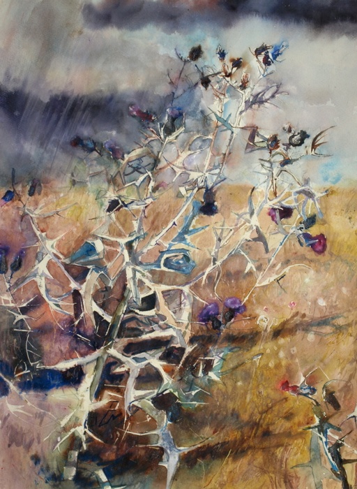 Thistles Brace themselves to the oncoming Storm, Perth, Scotland.